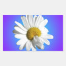 Suche nach weiße gänseblümchen aufkleber Jede person