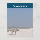 Suche nach etosha postkarten Natur