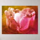 Suche nach schäbig poster Natur