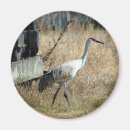 Suche nach kran magnete Natur