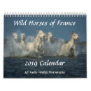 Suche nach pferde kalender Mustang