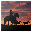 Suche nach herd fliesen Western