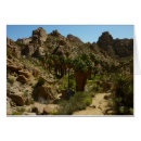 Suche nach oase karten Landschaft