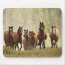 Suche nach kleines pferd mousepads Ranch