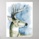 Suche nach hirsche poster Waldland