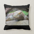 Suche nach drachen kissen Für sie