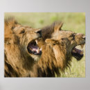 Suche nach südafrikanisch poster Horizontal