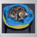 Suche nach kitty poster Kätzchen