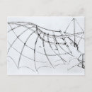 Suche nach leonardo zeichnen postkarten Vinci