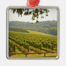 Suche nach rebe ornamente Frankreich