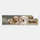 Suche nach labrador retriever autoaufkleber Labradore