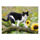 Suche nach smoking katze poster Lustig