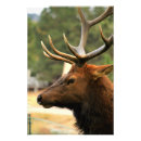 Suche nach wildleder kunst Tiere