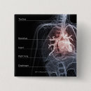 Suche nach diagramme buttons Menschlich