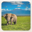 Suche nach afrika untersetzer Mt kilimanjaro