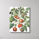 Suche nach tomate leinwandbilder Frucht