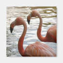 Suche nach niedlicher flamingo magnete Jede person