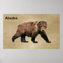 Suche nach kodiak poster Alaska