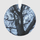 Suche nach baum silhouette ornamente Natur