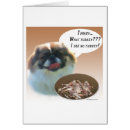 Suche nach peke Hund