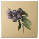 Suche nach plume fliesen Obst