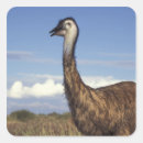 Suche nach emu aufkleber Natur