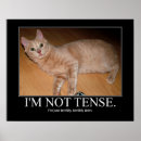 Suche nach spannung poster Katze