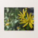 Suche nach daisy puzzle Griechen