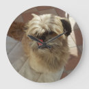 Suche nach shih tzu wanduhren Haustiere