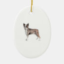Suche nach kumpel ornamente Hund