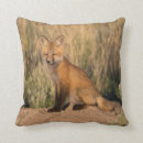 Suche nach babyfuchs kissen Tierwelt