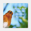 Suche nach rotkehlchen magnete Vögel