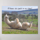 Suche nach lustiges lama poster Jede person