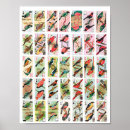 Suche nach vintage wildlife poster Tierwelt