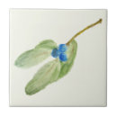Suche nach farbige bleistifte fliesen Farbiger bleistift