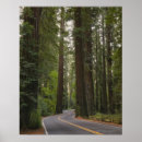 Suche nach strasse poster Usa