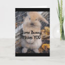 Suche nach sader karten Freund