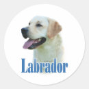 Suche nach labrador retriever aufkleber Schwarzes labor