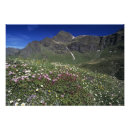 Suche nach schweizer alpen poster Himmel
