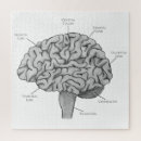 Suche nach gehirn puzzle Anatomie