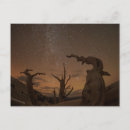 Suche nach sternschnuppe postkarten Raum