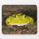 Suche nach brasilianisch mousepads Tier