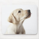 Suche nach zungen mousepads Haustiere