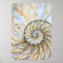 Suche nach nautilus poster Natur