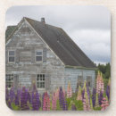 Suche nach lupine untersetzer Natur