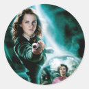 Suche nach auftrag des phoenix Hermione granger