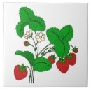 Suche nach frühstück fliesen Obst