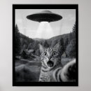 Suche nach katzen alien poster Haustiere