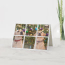 Suche nach weihnachtsfenster karten Urlaub