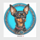 Suche nach reinrassig Hund